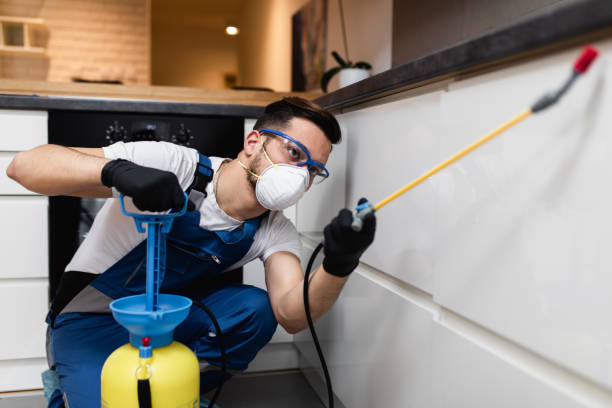 Best Affordable Pest Control Services  in Alma, NE