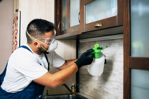 Flea Control Services in Alma, NE