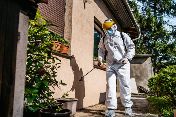Best Local Pest Control Services  in Alma, NE