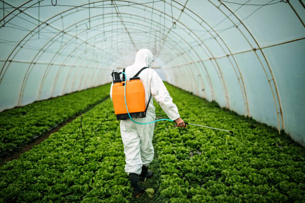 Best Local Pest Control Services  in Alma, NE