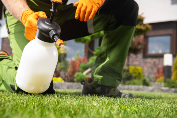 Best Emergency Pest Control  in Alma, NE