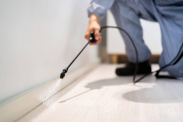 Best Commercial Pest Control Services  in Alma, NE