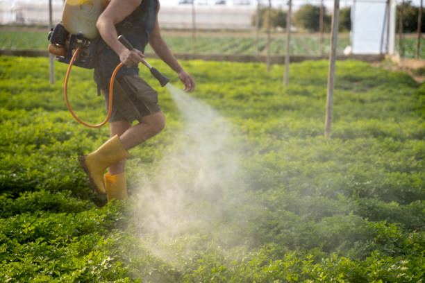 Best Best Pest Control Companies  in Alma, NE