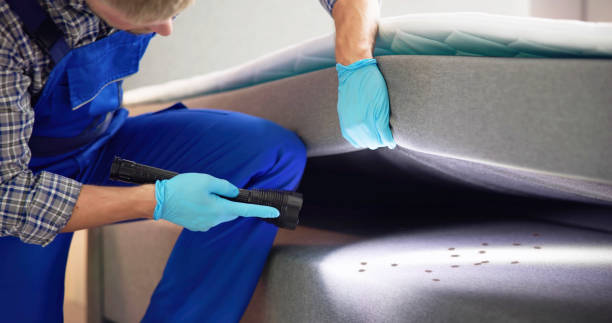 Best Emergency Pest Control  in Alma, NE