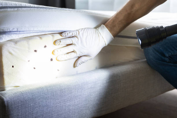 Best Pest Inspection Near Me  in Alma, NE