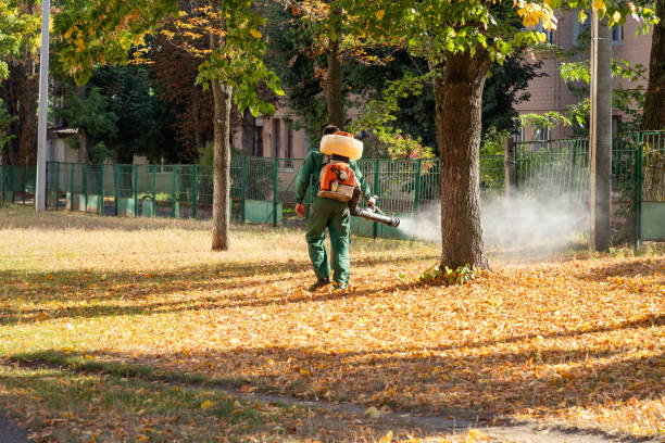 Best Best Pest Control Companies  in Alma, NE