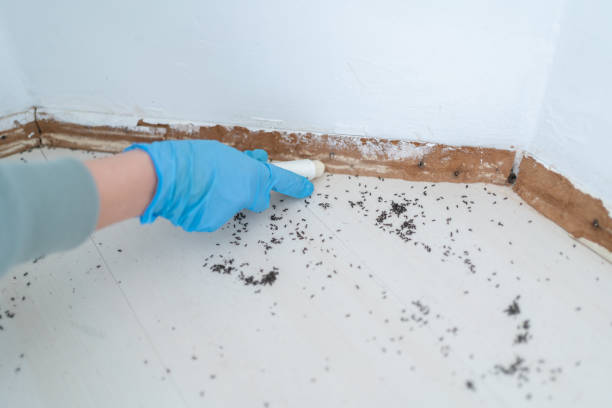 Best Pest Control for Homes  in Alma, NE