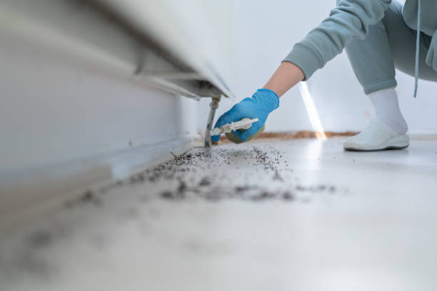Best Rat Extermination Near Me  in Alma, NE